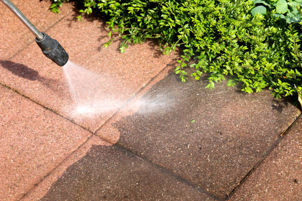 Best Local Pressure Washing Services  in Apex, NC